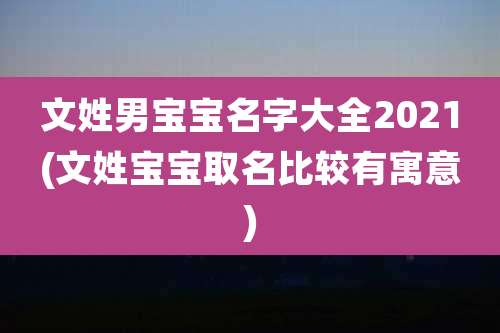 文姓男宝宝名字大全2021(文姓宝宝取名比较有寓意)