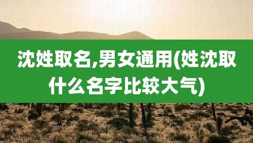 沈姓取名,男女通用(姓沈取什么名字比较大气)