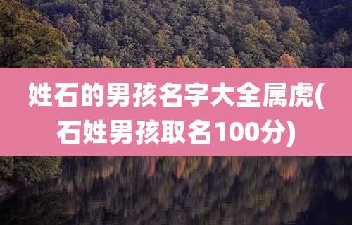 姓石的男孩名字大全属虎(石姓男孩取名100分)