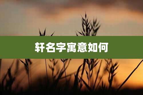 轩名字寓意如何