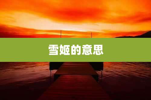 雪姬的意思