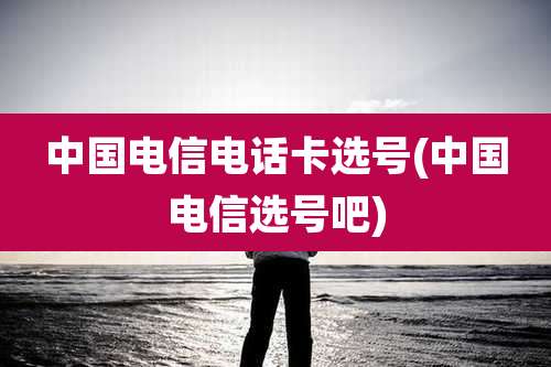 中国电信电话卡选号(中国电信选号吧)