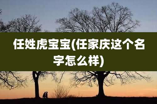 任姓虎宝宝(任家庆这个名字怎么样)