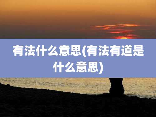 有法什么意思(有法有道是什么意思)