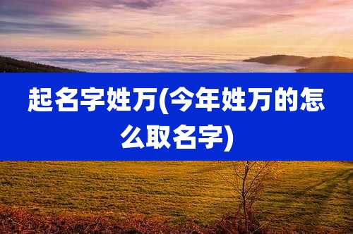 起名字姓万(今年姓万的怎么取名字)