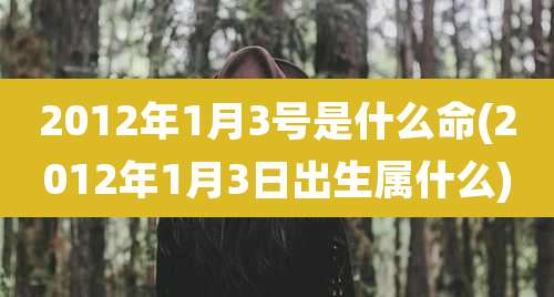2012年1月3号是什么命(2012年1月3日出生属什么)