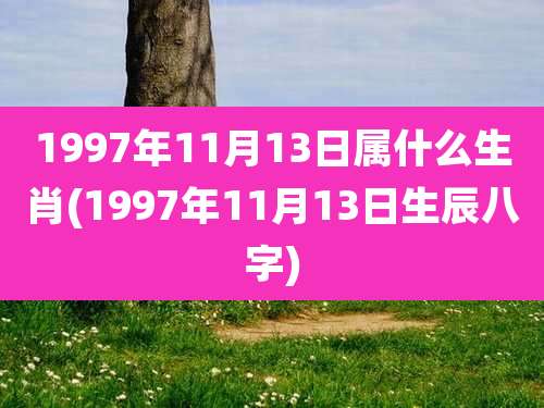 1997年11月13日属什么生肖(1997年11月13日生辰八字)
