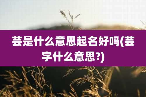 芸是什么意思起名好吗(芸字什么意思?)