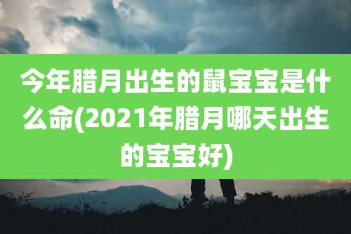 今年腊月出生的鼠宝宝是什么命(2021年腊月哪天出生的宝宝好)