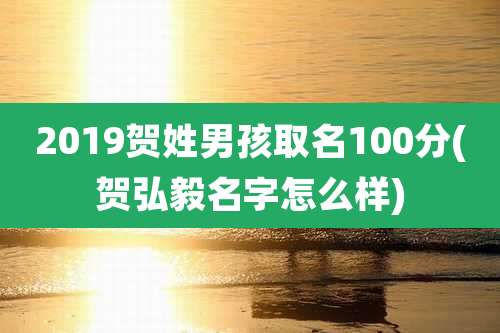 2019贺姓男孩取名100分(贺弘毅名字怎么样)