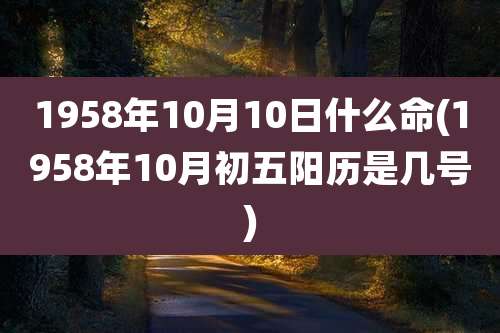 1958年10月10日什么命(1958年10月初五阳历是几号)