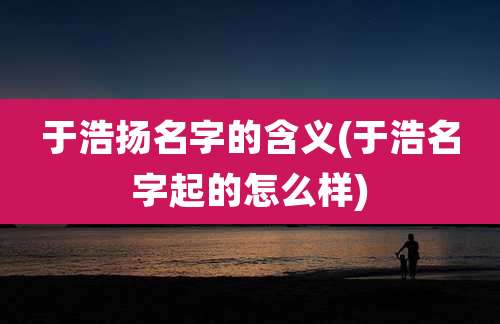 于浩扬名字的含义(于浩名字起的怎么样)
