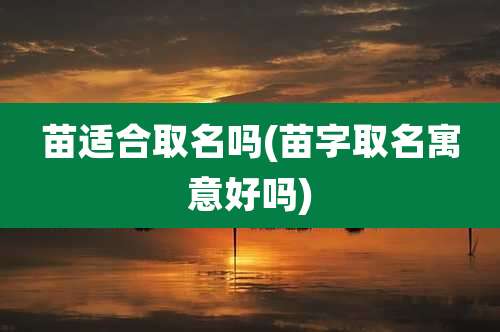 苗适合取名吗(苗字取名寓意好吗)