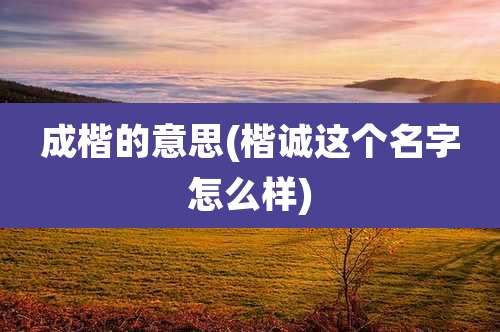 成楷的意思(楷诚这个名字怎么样)