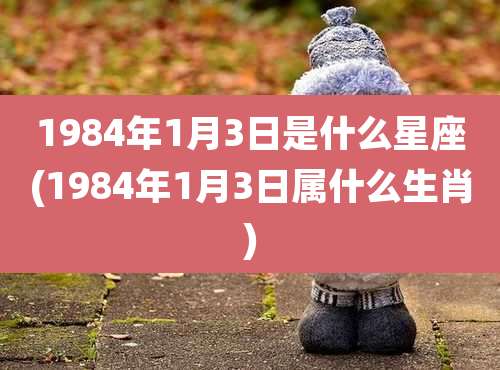 1984年1月3日是什么星座(1984年1月3日属什么生肖)