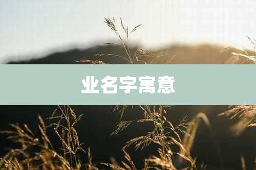 业名字寓意