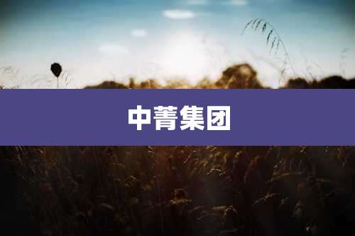 中菁集团