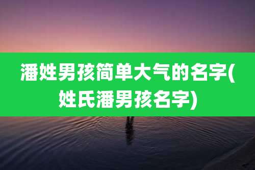 潘姓男孩简单大气的名字(姓氏潘男孩名字)