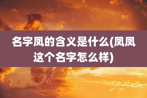 名字凤的含义是什么(凤凤这个名字怎么样)