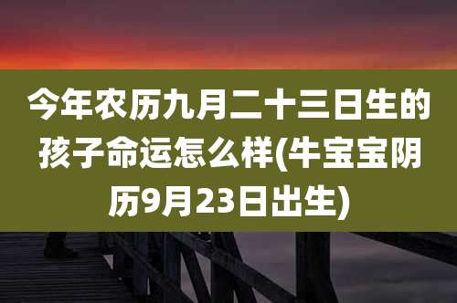 今年农历九月二十三日生的孩子命运怎么样(牛宝宝阴历9月23日出生)