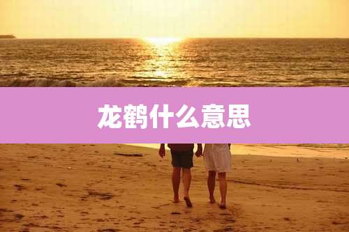龙鹤什么意思