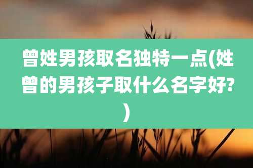 曾姓男孩取名独特一点(姓曾的男孩子取什么名字好?)