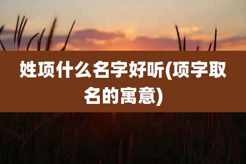 姓项什么名字好听(项字取名的寓意)