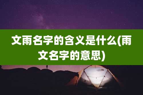 文雨名字的含义是什么(雨文名字的意思)