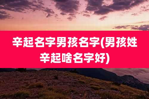 辛起名字男孩名字(男孩姓辛起啥名字好)