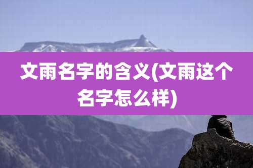文雨名字的含义(文雨这个名字怎么样)