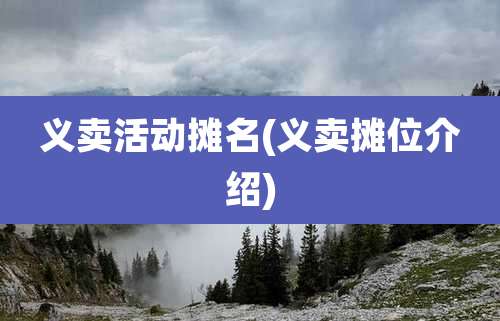 义卖活动摊名(义卖摊位介绍)