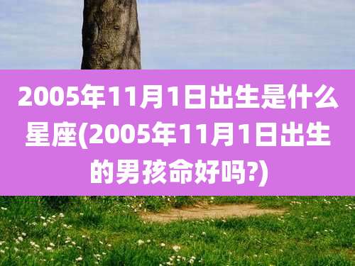2005年11月1日出生是什么星座(2005年11月1日出生的男孩命好吗?)
