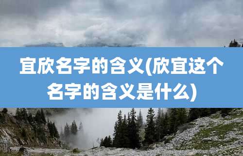 宜欣名字的含义(欣宜这个名字的含义是什么)