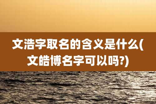 文浩字取名的含义是什么(文皓博名字可以吗?)