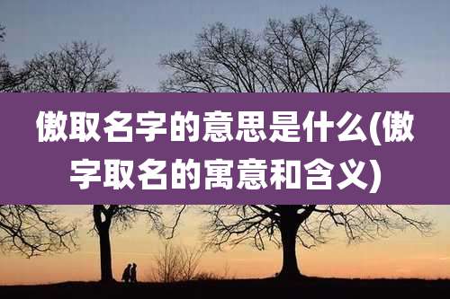 傲取名字的意思是什么(傲字取名的寓意和含义)