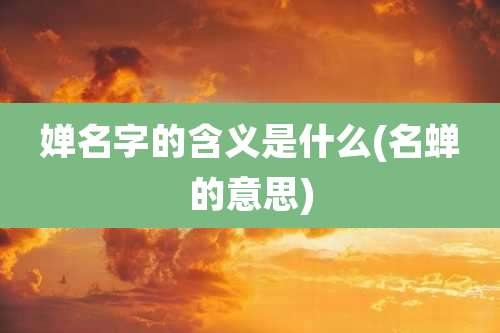 婵名字的含义是什么(名蝉的意思)