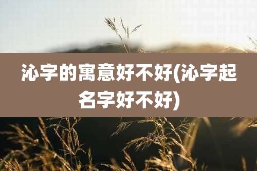 沁字的寓意好不好(沁字起名字好不好)