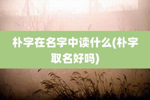 朴字在名字中读什么(朴字取名好吗)