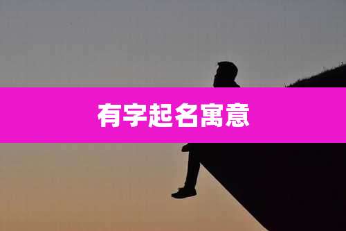 有字起名寓意