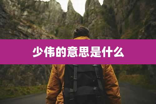 少伟的意思是什么