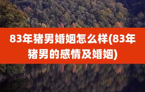 83年猪男婚姻怎么样(83年猪男的感情及婚姻)