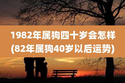 1982年属狗四十岁会怎样(82年属狗40岁以后运势)