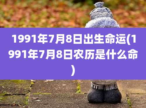 1991年7月8日出生命运(1991年7月8日农历是什么命)