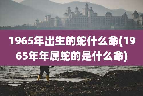 1965年出生的蛇什么命(1965年年属蛇的是什么命)