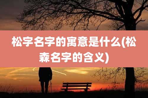 松字名字的寓意是什么(松森名字的含义)