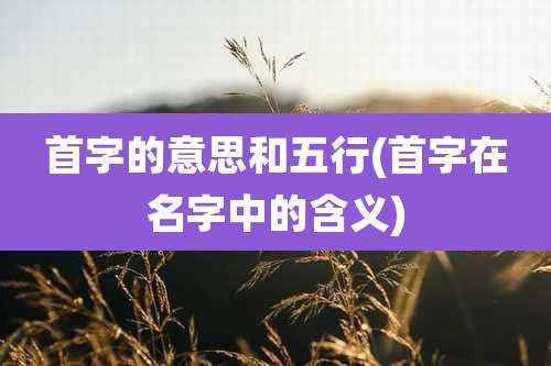 首字的意思和五行(首字在名字中的含义)
