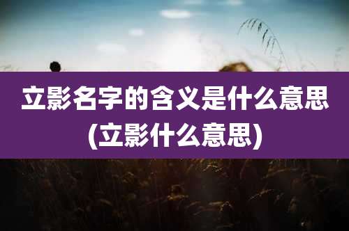 立影名字的含义是什么意思(立影什么意思)