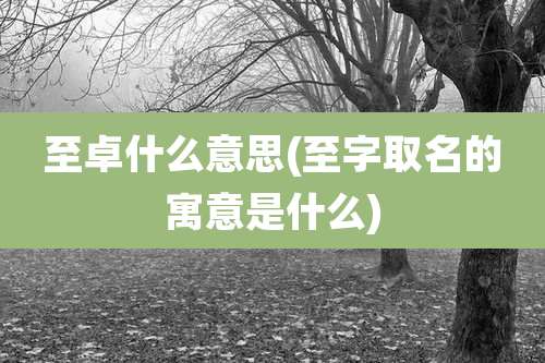 至卓什么意思(至字取名的寓意是什么)
