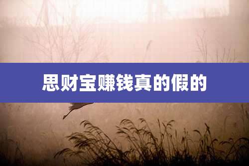 思财宝赚钱真的假的
