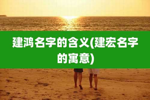 建鸿名字的含义(建宏名字的寓意)